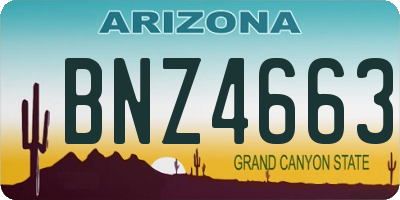 AZ license plate BNZ4663