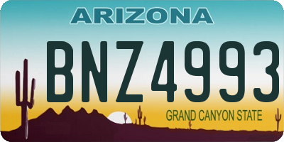 AZ license plate BNZ4993