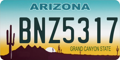 AZ license plate BNZ5317