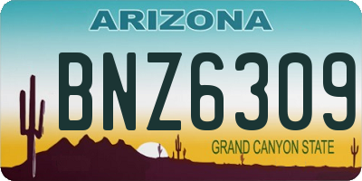AZ license plate BNZ6309