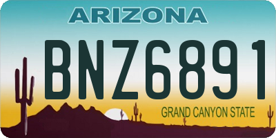 AZ license plate BNZ6891