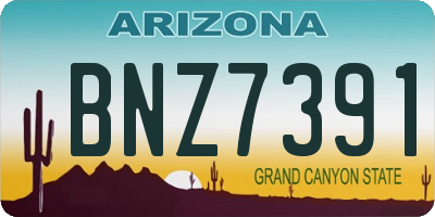 AZ license plate BNZ7391