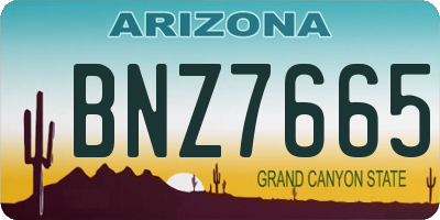AZ license plate BNZ7665