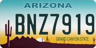 AZ license plate BNZ7919
