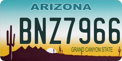 AZ license plate BNZ7966