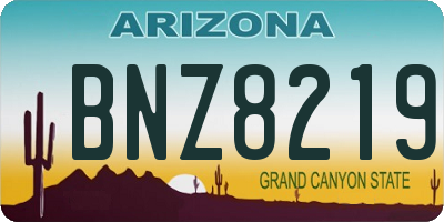 AZ license plate BNZ8219