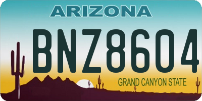 AZ license plate BNZ8604