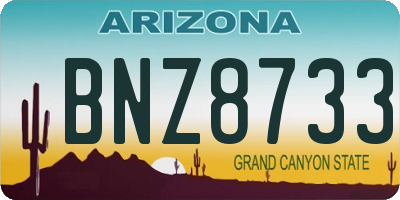 AZ license plate BNZ8733