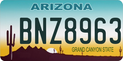 AZ license plate BNZ8963