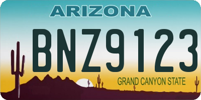 AZ license plate BNZ9123