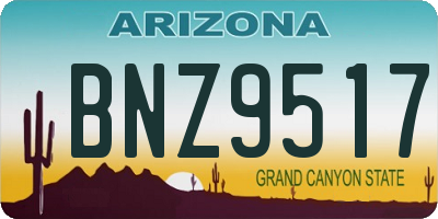 AZ license plate BNZ9517
