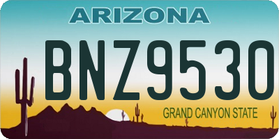 AZ license plate BNZ9530