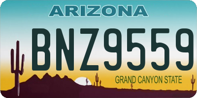 AZ license plate BNZ9559