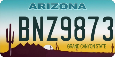 AZ license plate BNZ9873