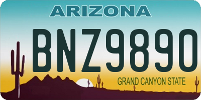 AZ license plate BNZ9890