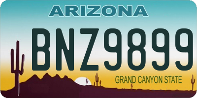 AZ license plate BNZ9899