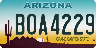 AZ license plate BOA4229