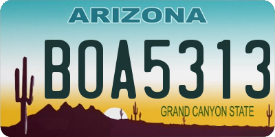 AZ license plate BOA5313