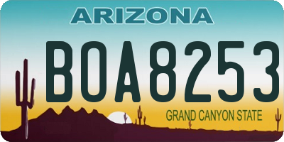 AZ license plate BOA8253