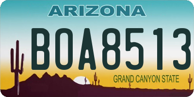 AZ license plate BOA8513