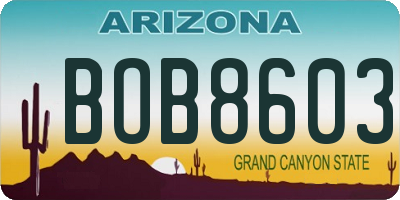 AZ license plate BOB8603