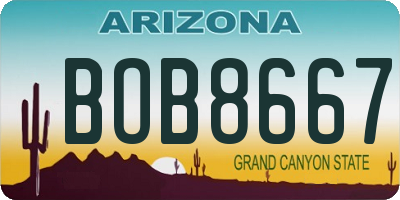 AZ license plate BOB8667