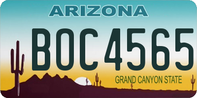 AZ license plate BOC4565