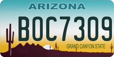 AZ license plate BOC7309