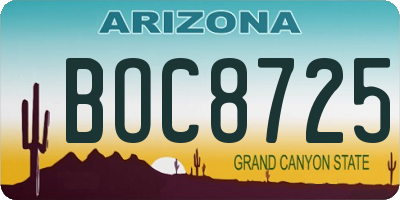 AZ license plate BOC8725
