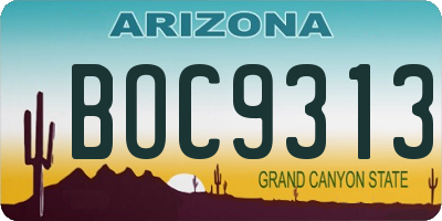 AZ license plate BOC9313