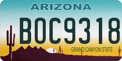 AZ license plate BOC9318
