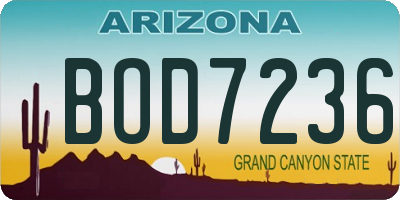 AZ license plate BOD7236