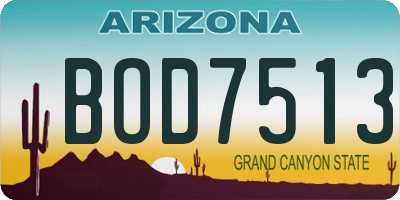 AZ license plate BOD7513