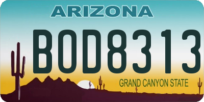 AZ license plate BOD8313