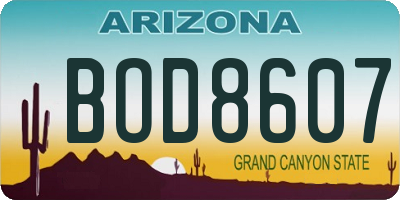 AZ license plate BOD8607