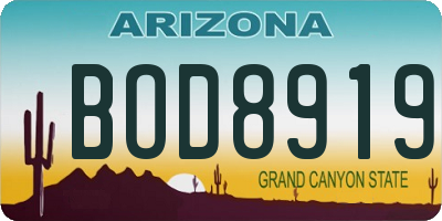 AZ license plate BOD8919