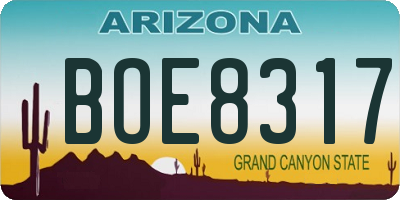AZ license plate BOE8317