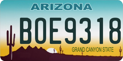 AZ license plate BOE9318
