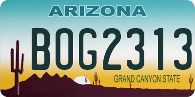 AZ license plate BOG2313