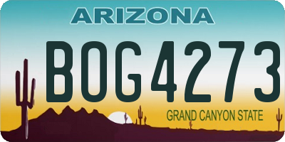 AZ license plate BOG4273
