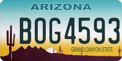 AZ license plate BOG4593