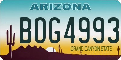 AZ license plate BOG4993