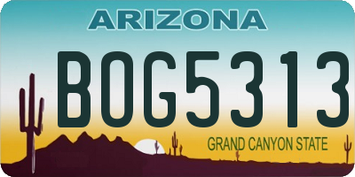 AZ license plate BOG5313