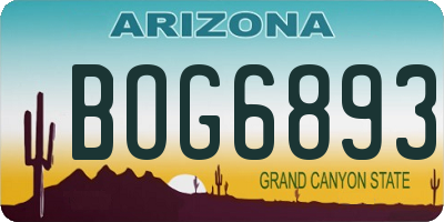 AZ license plate BOG6893