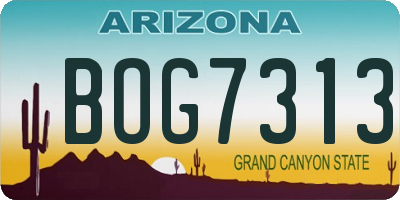 AZ license plate BOG7313