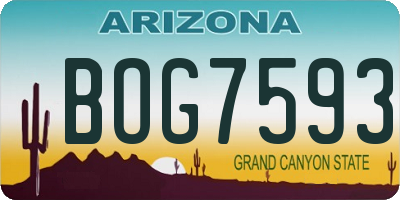 AZ license plate BOG7593