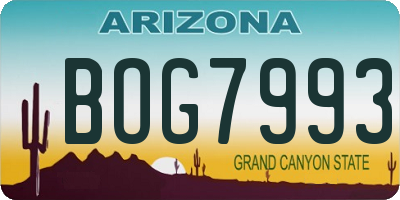 AZ license plate BOG7993