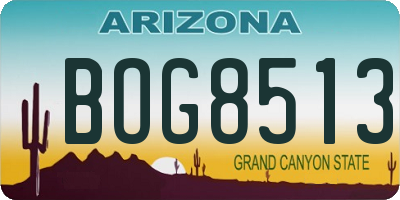 AZ license plate BOG8513