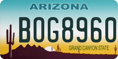 AZ license plate BOG8960