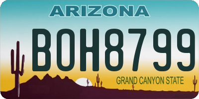 AZ license plate BOH8799